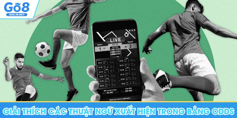 Go8 giải thích về các thuật ngữ xuất hiện trong bảng Odds 